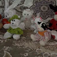عروسک تمیز وکارکرده