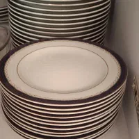 سرویس چینی زرین