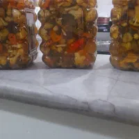 ترشیجات خانگی مهرگان  با کیفیت بالا