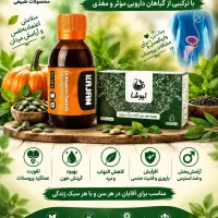 دمنوش اقایان