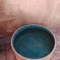 لاجین و کوزه قدیمی قابل استفاده|کلکسیون اشیاء عتیقه|اراک, |دیوار