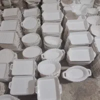 ظروف سرامیکی