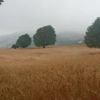 عکاسی و تصویربرداری