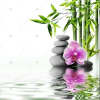 ماساژ+درمانی+ریلکسی+درمنزل+غرب تهران