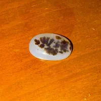 نگین سنگ شجر با کیفیت اصل قائن