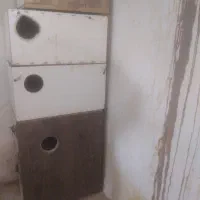 لانه عروس هلندی|لوازم جانبی حیوانات|بردسکن, |دیوار