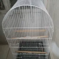 قفس بزرگ و کوچک|لوازم جانبی حیوانات|زرند, |دیوار