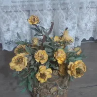 گلدان سرامیکی سالم و گلدان گل زیبا|گل و گیاه طبیعی|ملایر, |دیوار