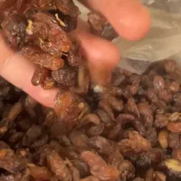 کشمش افتابی|خوردنی و آشامیدنی|ری, شهرک نظامی|دیوار