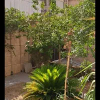 فروش-کلنگی