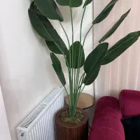 درختچه مصنوعی پرنده بهشتی|گل مصنوعی|اسلام‌شهر, شهرک واوان|دیوار