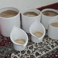 گلدان|گل و گیاه طبیعی|اهواز, فاز ۱ پادادشهر|دیوار