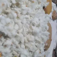 ده عدد کوسن جنس مخمل مبل مناسب مسافرت ۱۲۰۰،۰۰۰|رختخواب، بالش، پتو|بهمن, |دیوار