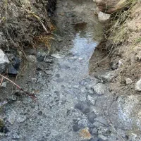 50 قصب باغ بندر دلفارد خوش آب و هوا|فروش خانه و ویلا|درب بهشت, |دیوار