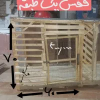 اغال کفتر|لوازم جانبی حیوانات|تربتحیدریه, ۴۵ متری|دیوار