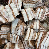 سنگ آکواریوم تراریوم