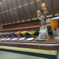 استخدام نیروی میزبان