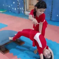آموزش تخصصی ژیمناستیک