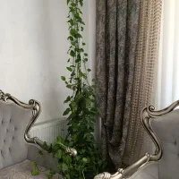 گل طبیعی پتوس کاج....