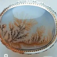 شجر انگشتری