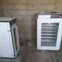 دستگاه جوجه کشی