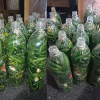 فروش خیارشور بطری