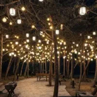پیاده روی و طبیعت گردی