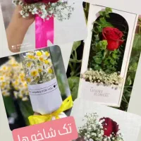 گلفروشی آنلاین سارگل