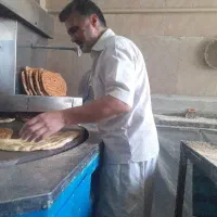 شاطر نانوایی  بربری
