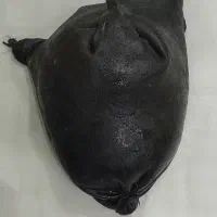 دو عدد هیزه