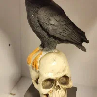 مجسمه‌های پلی‌استر تزئینی  شیک، سبک و قابل شستشو|مجسمه، تندیس، ماکت|رشت, معلولین|دیوار