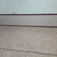 موکت پالاز