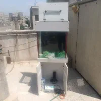 آکواریوم