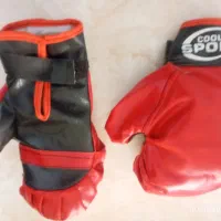 دستکش بوکس|تجهیزات ورزشی|کالپوش, |دیوار