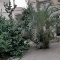 کلنگی-بلوارگلستان-ملکی