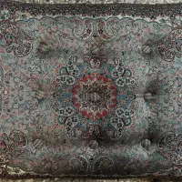 تولیدو پخش پشتی