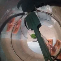 سبزی خورد کن|خردکن، آسیاب، غذاساز|جوانرود, |دیوار