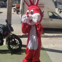 تن پوش عروسکی