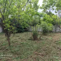 250-متر-ویلایی-سادات-شهر