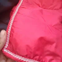 فروش کالاسکه