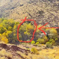 باغ ارزان قیمت شمشیر