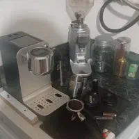 سسگ|کافیشاپ و رستوران|آبیک, |دیوار