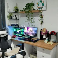 سیستم حرفه ای