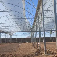 احداث گلخانه صفرتاصد