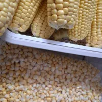 ذرت مکزیکی سوپر