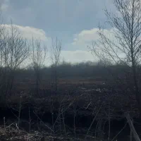 زمین۹۷۲۲  متر باغ گلخانه