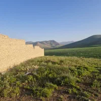 گاوداری صنعتی ۲۰۰۰ متر در چادگان|فروش زمین و ملک کلنگی|چنارود, |دیوار