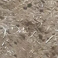 کود گوسفندی