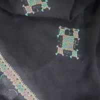 دانوکی دوچ