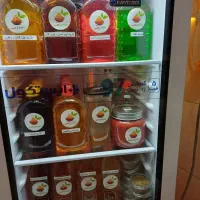 یخچال مینی بار شوکیس ایستکول